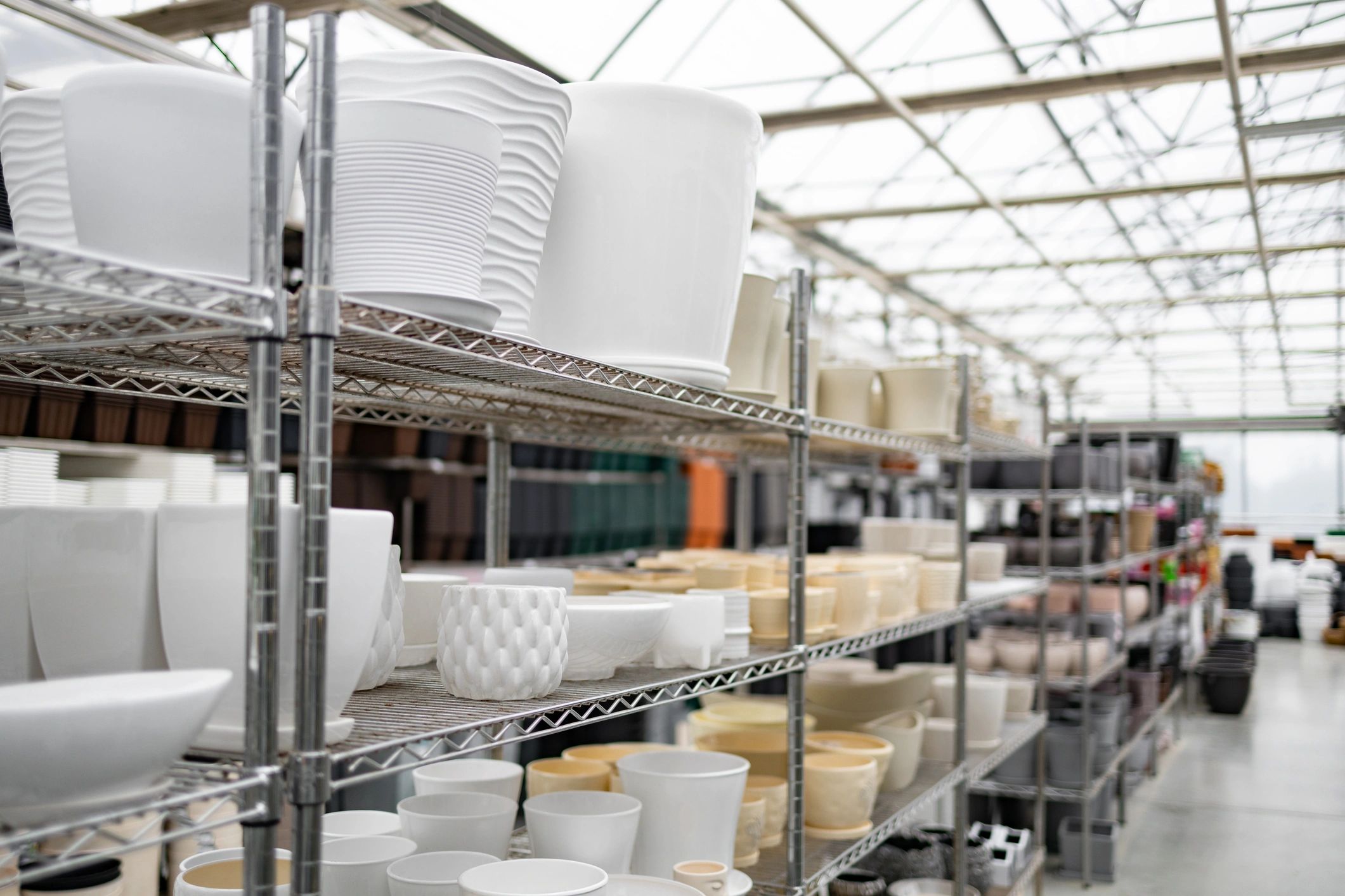 Michael S. - Kitchenware Retailer
